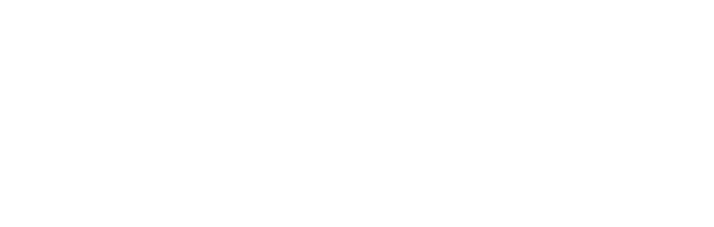 Logo-Valve White overlay